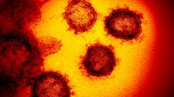 varianta noua a coronavirusului sars cov 2 descoperita in 13 tari