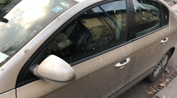 cum cureti gainatul pasarilor de pe masina solutie eficienta pentru caroserie si geamuri