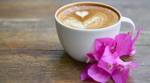 la ce ora trebuie bauta cafeaua de dimineata ai gresit enorm pana acum explicatia