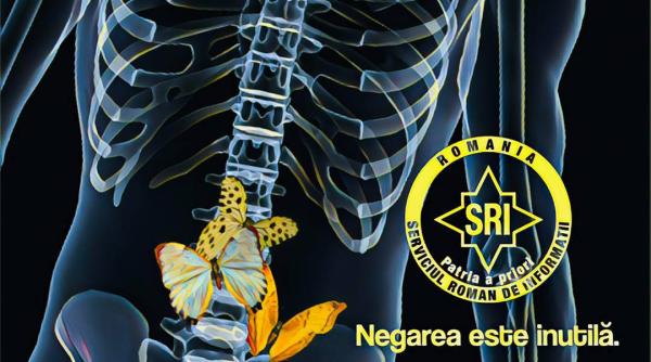 sri mesaj cu fluturi in stomac de dragobete