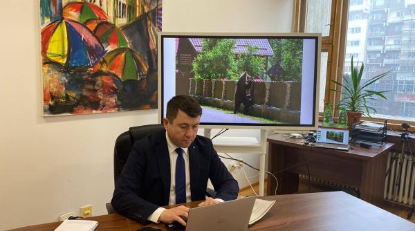 udmr cere la ue uciderea ursilor din romania petitie prezentata la parlamentul european vincze lorant sanatatea publica si siguranta primeaza