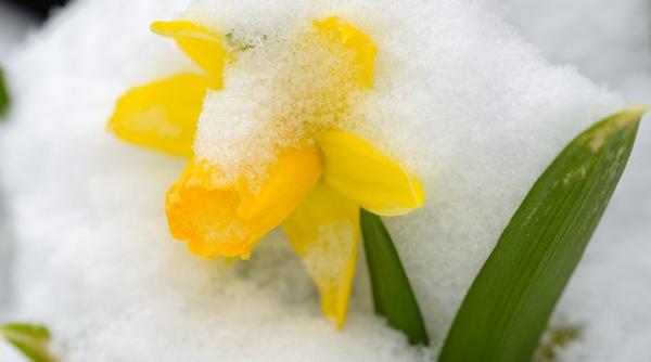 prognoza meteo se raceste cand se schimba vremea