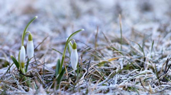 anm  prognoza meteo  vremea pe regiuni in urmatoarele doua saptamani