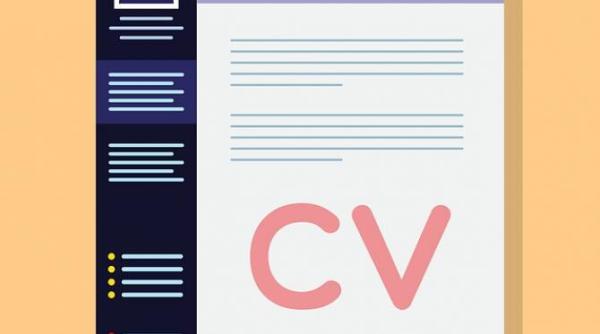 propunerea usr plus pentru functia de subprefect de alba probleme in cv studii superioare intr o universitate inchisa