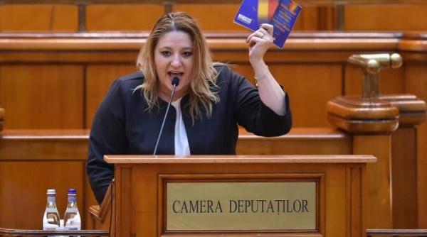 sansele dianei sosoaca in politica pe termen lung alfred bulai teribilism utilizeaza penibilul