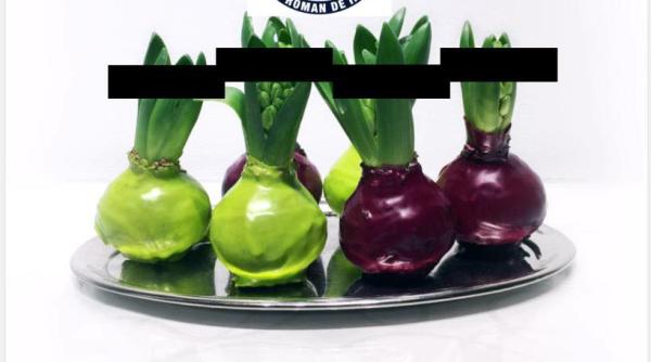 sri  mesaj de martisor  cepe in loc de flori  nu va lasati pacaliti