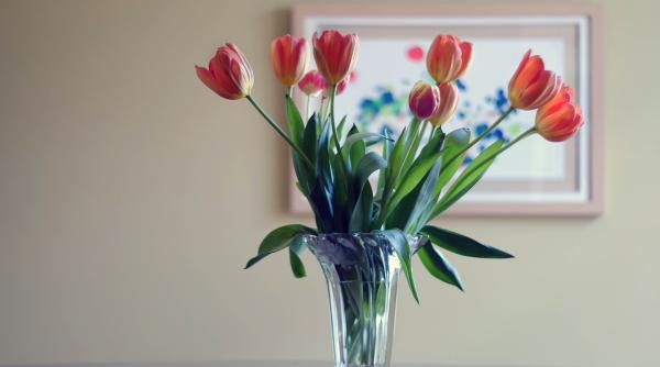 cum faci sa reziste florile mai mult in vaza trucuri simple si eficiente