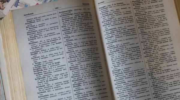 italia 100 de personalitati cer schimbarea definitiei cuvantului femeie in dictionarul trecanni