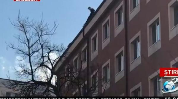 un tanar ameninta ca se va arunca de un camin studentesc din bucuresti