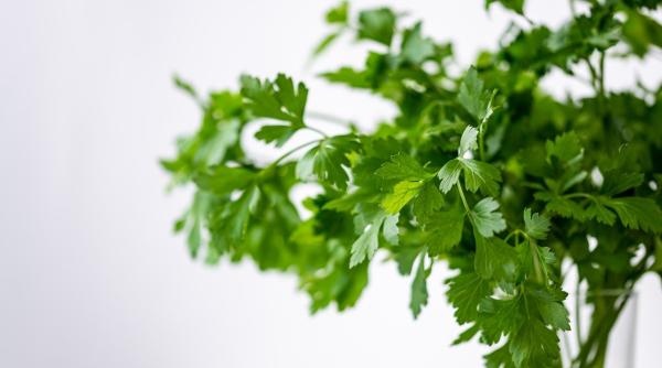 salata de patrunjel si lamaie reteta magica impotriva kilogramelor in plus