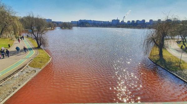 fenomen ciudat in parcul ior din bucuresti apa lacului a devenit rosie bine ca nu s a ntamplat vara foto
