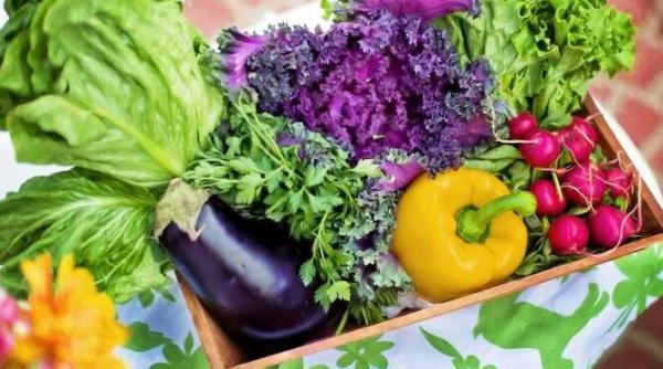 ce legume plantam la inceputul primaverii