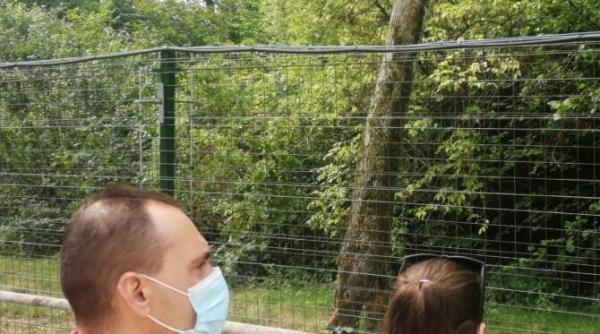 gds bilant coronavirus 6 martie numarul infectarilor in romania