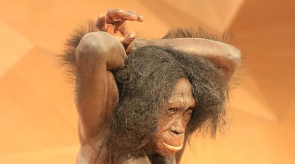 noi descoperiri despre neanderthalieni perioada in care au disparut ar putea fi mai veche