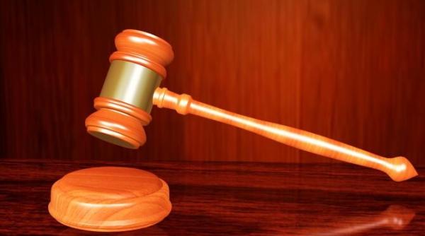 dna nereguli in cazul puiu popoviciu terenul universitatii de agronomie evaluat dupa articole din ziare