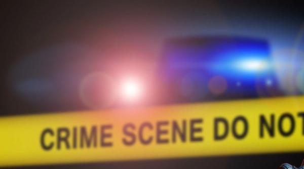 motivul crimei de la botosani victima a incercat sa si salveze fratele geaman