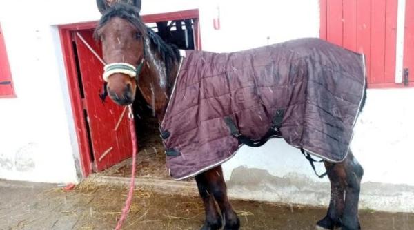 un barbat din ilfov si a incendiat caruta cu tot cu calul inhamat