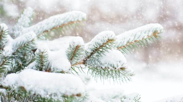 atentionare de calatorie   norvegia  cod portocaliu de ninsoare