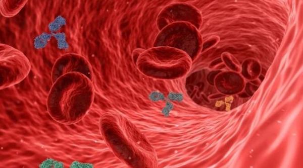 barbat cu superanticorpi covid 19