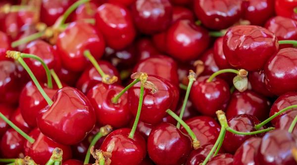 pret cirese 2021 au aparut primele cirese din acest an in pietele din romania