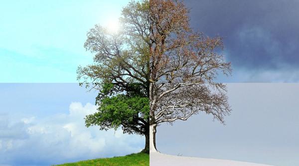 vara va dura 6 luni iar iarna mai putin de 2 luni pana in anul 2100 studiu