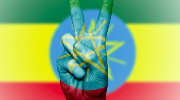 spitalele din regiunea tigray a etiopiei vandalizate si jefuite