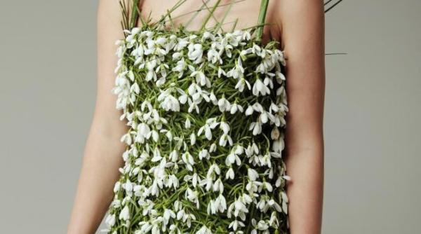 articol publicat pe dc news citat de cea mai mare organizatie care certifica recorduri mondiale