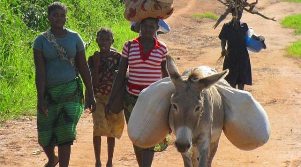 copii decapitati in mozambique