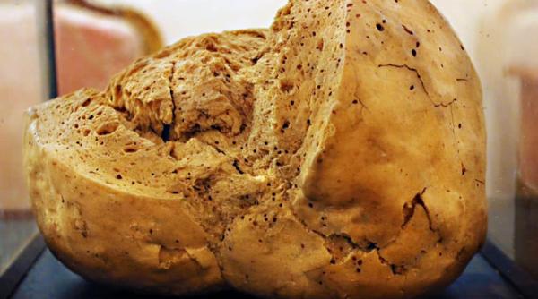 exponat unic in lume la muzeul de istorie din galati