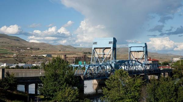 o camioneta a ramas atarnata de un pod in sua foto