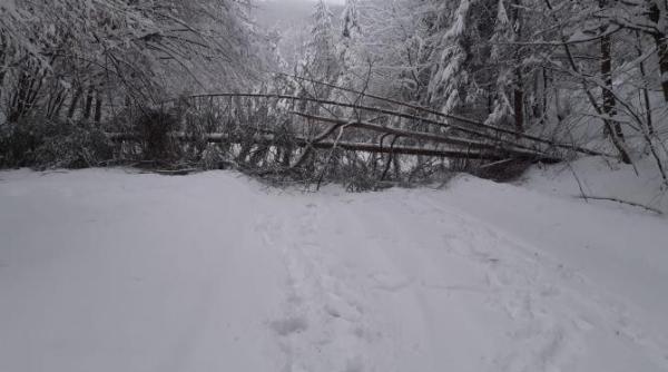 13 judete  afectate de vremea severa din ultimele ore  unde se intervine acum   galerie foto