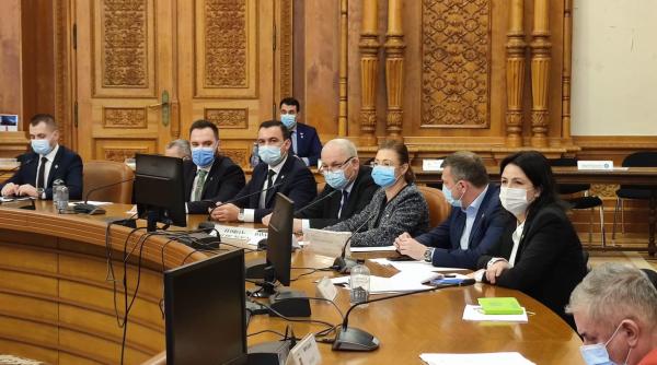 desfiintare siij oana florea intrebare cheie pentru pnl si usr o noua vanatoare politica