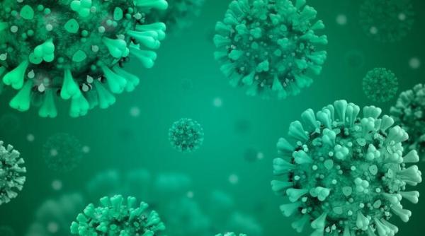 oms ingrijorari cu privire la situatia epidemiologica din balcani si europa centrala