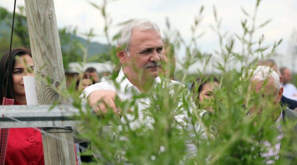 gusa l a visat pe dragnea dezvaluire in direct despre cum arata la iesirea din puscarie venea dupa mine cu ficat de porc prajit