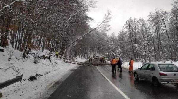 infotrafic  19 martie  circulatie in conditii de iarna  ce drumuri mai sunt inchise