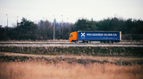 sirieni ascunsi intr un tir cu susan la vama giurgiu ce le au declarat autoritatilor