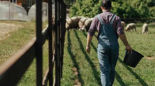 100 de milioane de euro pentru tinerii fermierii criteriile de selectie