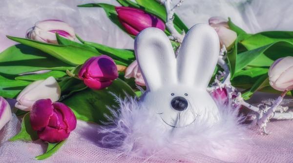 postul pastelui 2021 reteta de chiftele manastiresti