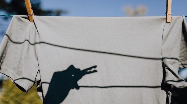 trei tineri au spart uscatorul unui bloc prinsi cu sacosele pline cu haine