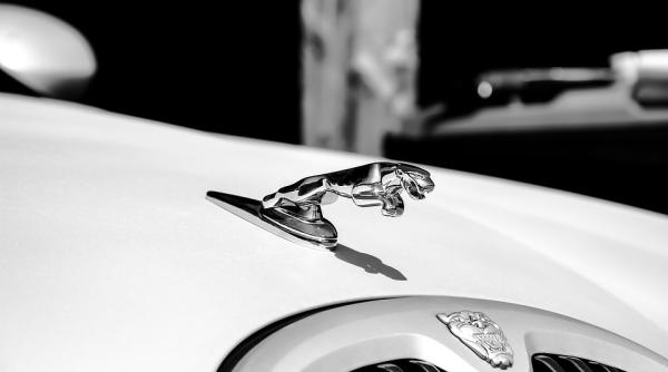 soferi de jaguar si mercedes au alimentat fara sa plateasca