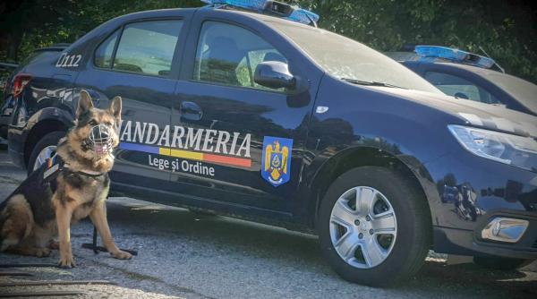 jandarm arestat preventiv dupa ce si a batut concubina si a lovit alte doua femei