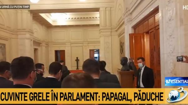 scandal groaznic pe holul parlamentului deputati usr si aur la un pas de bataie bai paduche dispari