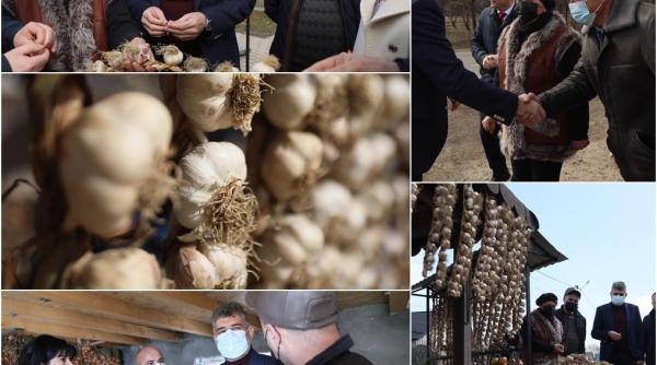 ciolacu critici pentru reducerea sprijinului pentru cultivatorii de usturoi