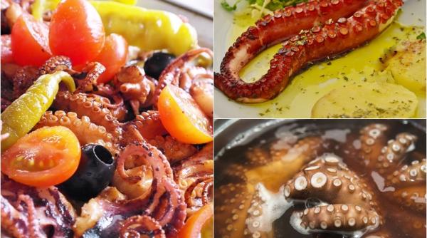 cum se fierbe caracatita metoda corecta