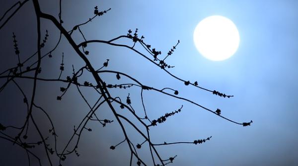 horoscop sambata 27 martie 2021