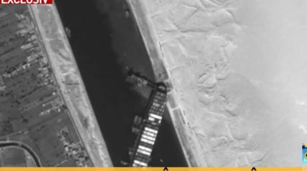 animale din romania blocate in canalul suez risca sa moara de foame si sete