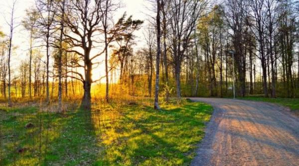 anm prognoza meteo 29 martie 5 aprilie 2021 elena mateescu primavara isi intra in drepturi