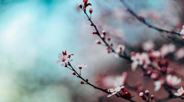 anm  prognoza meteo  vremea pe regiuni in urmatoarele doua saptamani