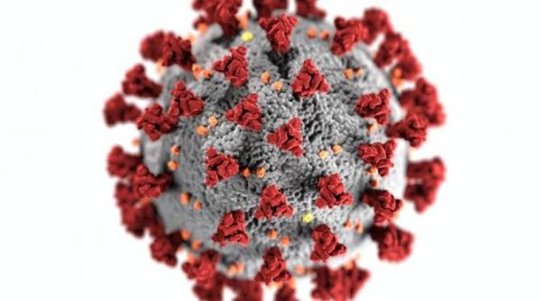 studiu comun oms china privind originea coronavirsului o scapare din laborator extrem de putin probabila