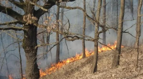 incendii de vegetatie in hunedoara circulatia pe autostrada a1 ingreunata